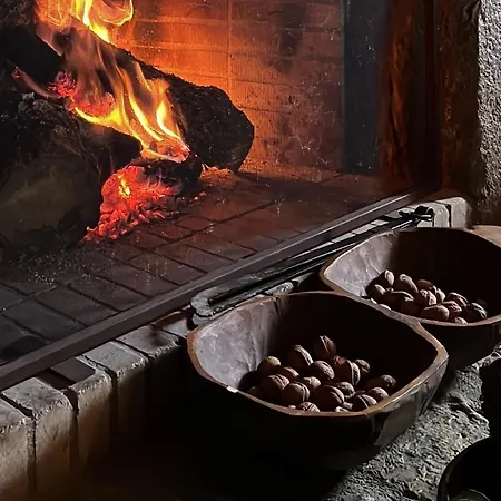 Terra Petra At Psari Trikolonon Gortynia *