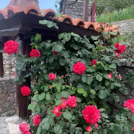 Terra Petra At Psari Trikolonon Gortynia Psarion