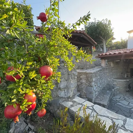 Terra Petra At Psari Trikolonon Gortynia