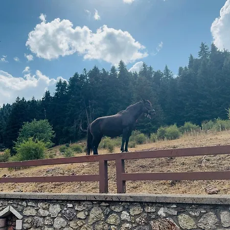 فيلة Terra Petra At Psari Trikolonon Gortynia *