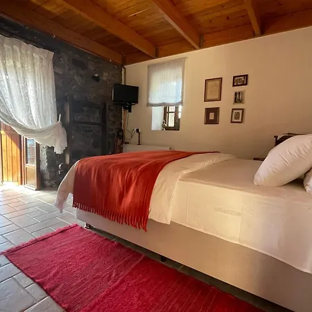 Terra Petra At Psari Trikolonon Gortynia Villa *