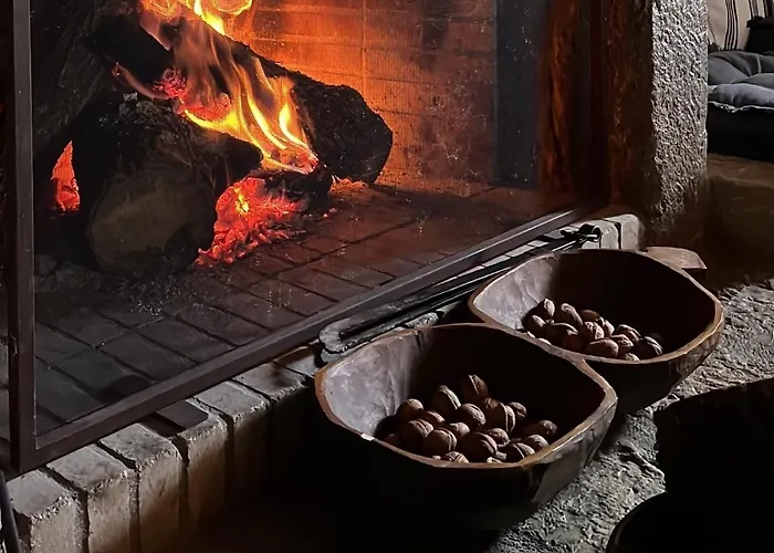 Terra Petra At Psari Trikolonon Gortynia *