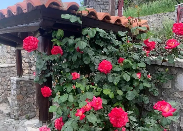 Terra Petra At Psari Trikolonon Gortynia Psárion