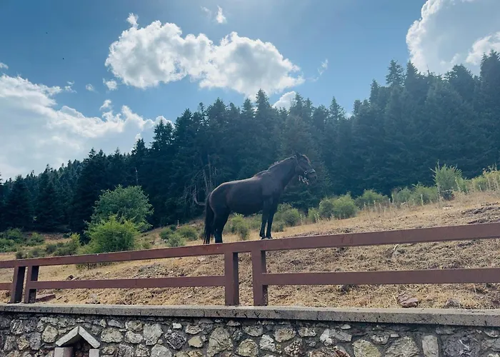 Villa Terra Petra At Psari Trikolonon Gortynia *